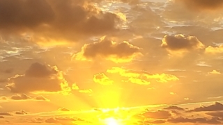 Thumbnail of post image 146